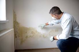 Best Post-Construction Mold Inspection  in Whitesboro, NY